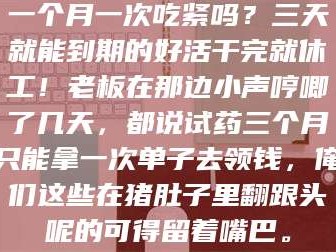 渑池一个月一次吃紧吗？三天就能到期的好活干完就休工！老板在那边小声哼唧了几天，都说试药三个月只能拿一次单子去领钱，俺们这些在猪肚子里翻跟头呢的可得留着嘴巴。