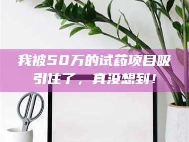渑池我被50万的试药项目吸引住了，真没想到！