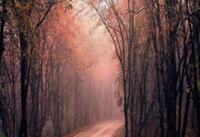 新能源车充电涨价因用油发电系谣言