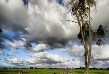 疑似单依纯仇恨李荣浩的原因