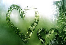 天涯论坛下载指南：安全获取官方版软件的秘密通道！