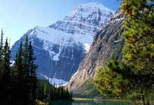 摆拍“打网约车遭司机辱骂”者被罚