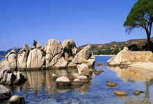 周末情侣”为啥愈发普遍