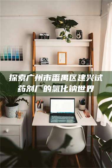 渑池探索广州市番禺区建兴试药剂厂的氯化钠世界 第1张