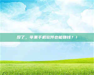 渑池反了，苹果手机软件也能赚钱？！ 第1张